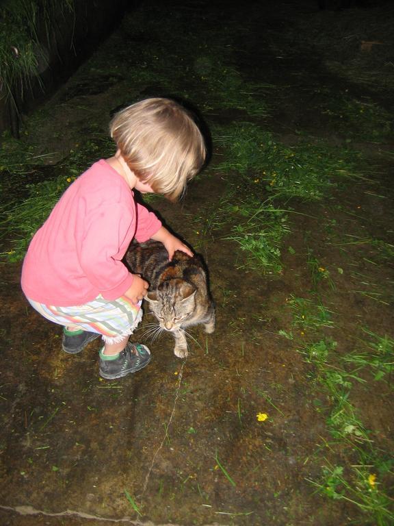 Baby- Und Kinderhof Aicherbauer Seeham Εξωτερικό φωτογραφία