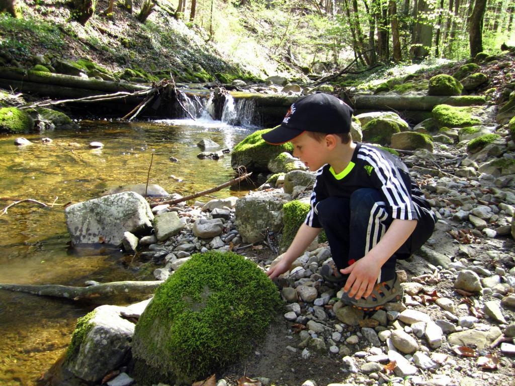 Baby- Und Kinderhof Aicherbauer Seeham Εξωτερικό φωτογραφία