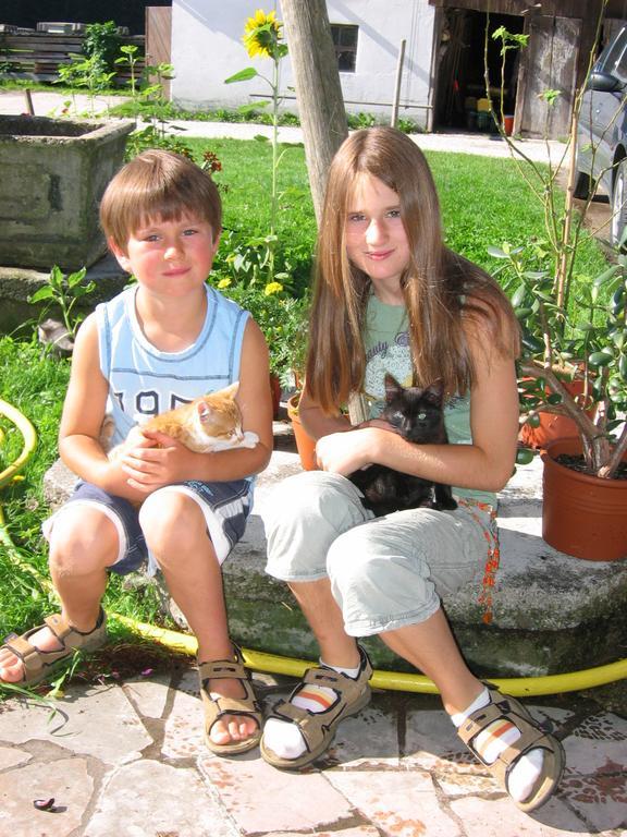Baby- Und Kinderhof Aicherbauer Seeham Εξωτερικό φωτογραφία