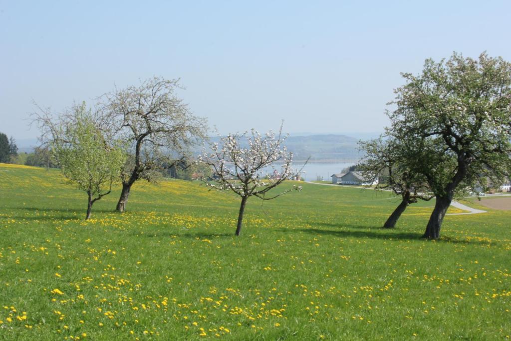 Baby- Und Kinderhof Aicherbauer Seeham Εξωτερικό φωτογραφία